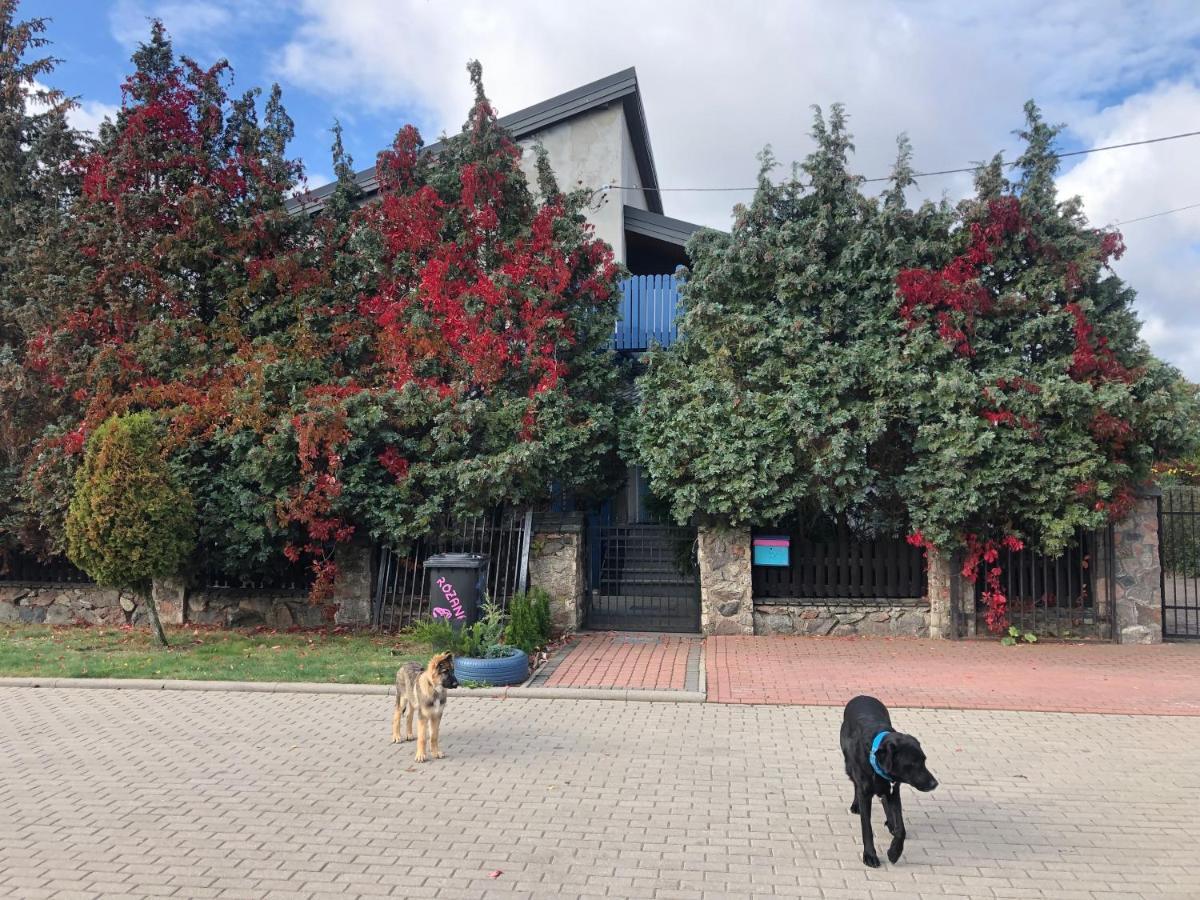 Cat Stone Villa Pisz Dış mekan fotoğraf