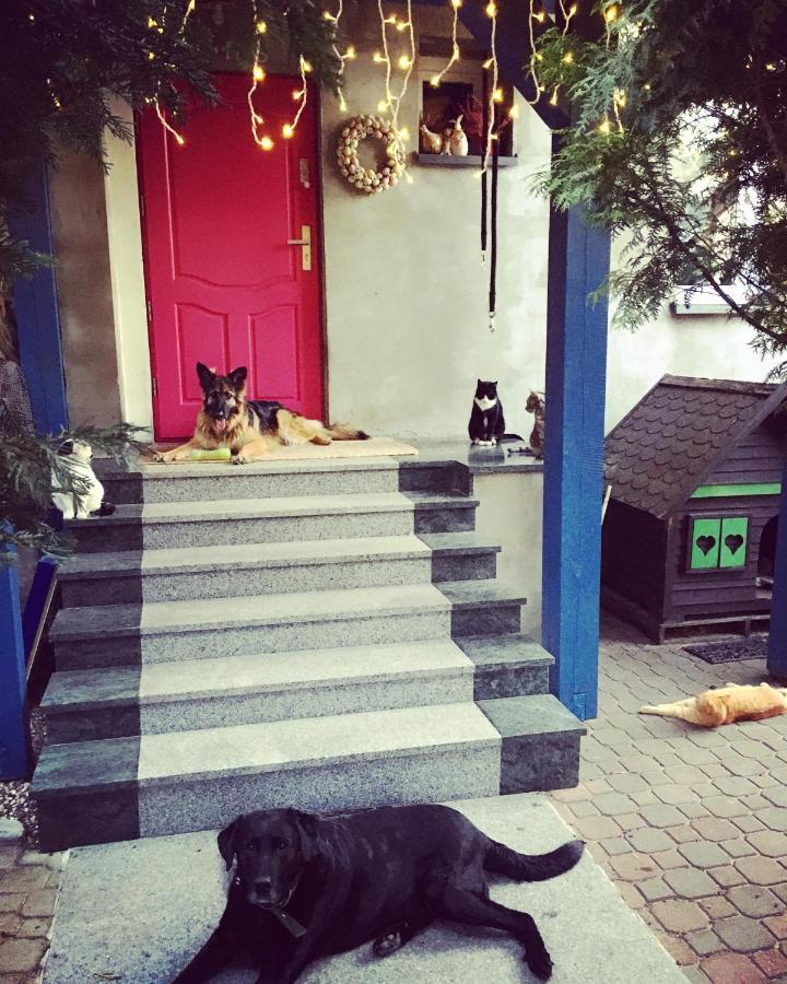 Cat Stone Villa Pisz Dış mekan fotoğraf