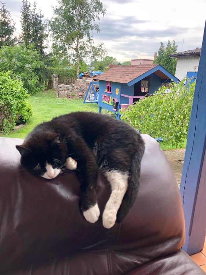 Cat Stone Villa Pisz Dış mekan fotoğraf